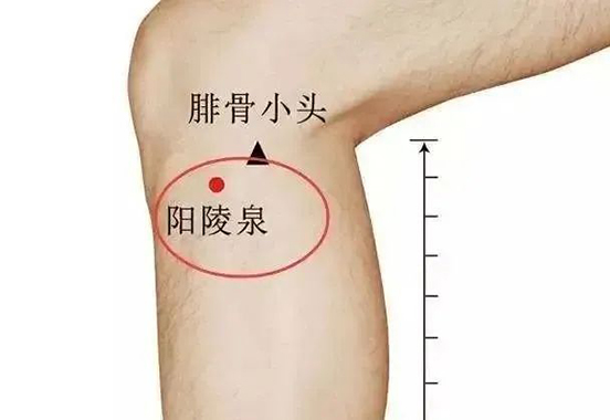微信图片_20240130200542.jpg