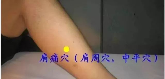 微信图片_20240130200429.jpg