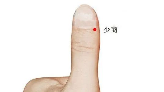 微信图片_20240205121355.jpg