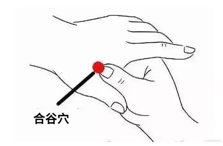 微信图片_20240226202027.png
