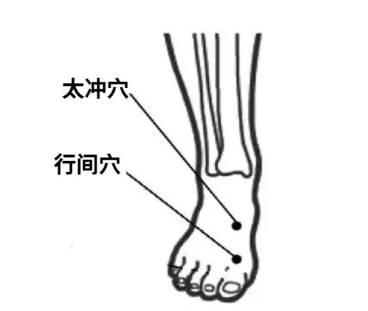 微信图片_20240226201940.png