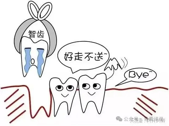 微信图片_20240227104957.jpg