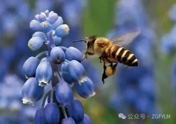 微信图片_20240301103221.jpg