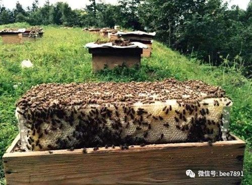 微信图片_20240331172515.jpg