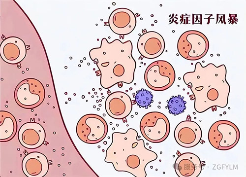 微信图片_20250802180350.jpg