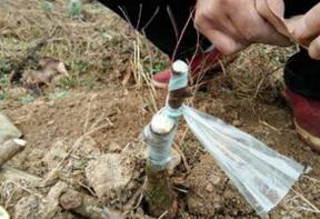 1506047398478534.jpg 2345截图20170921194955.jpg